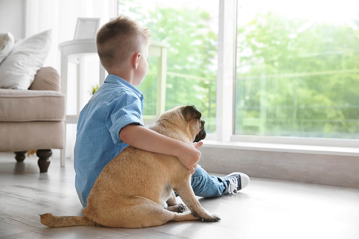 Young boy with dog looking out a window and feeling fearful due to religious OCD